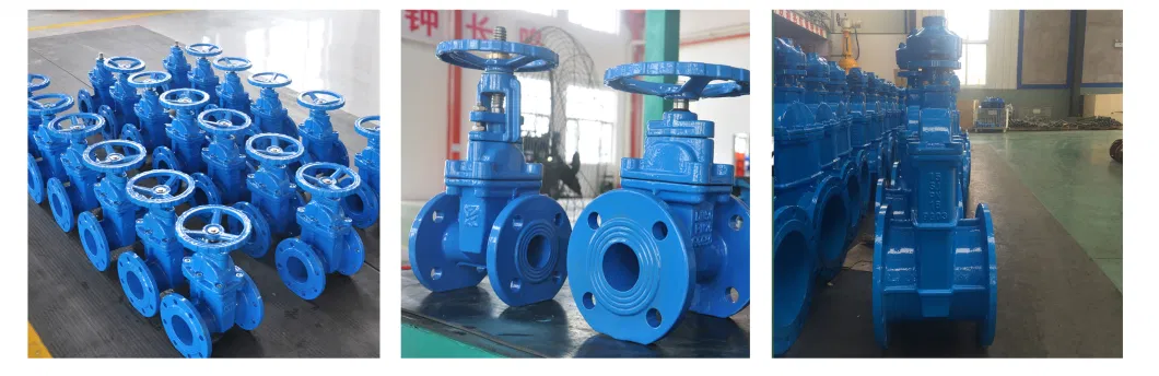 Water Pipe 100mm 4 Inch Soft Seal Extension Stem Ggg50 Rubber Wedge Sluice Pn10/Pn16/Cl150/Pn25 Gate Sluice Valve (Z45X-10/16) with CE ISO Wras Acs Approved