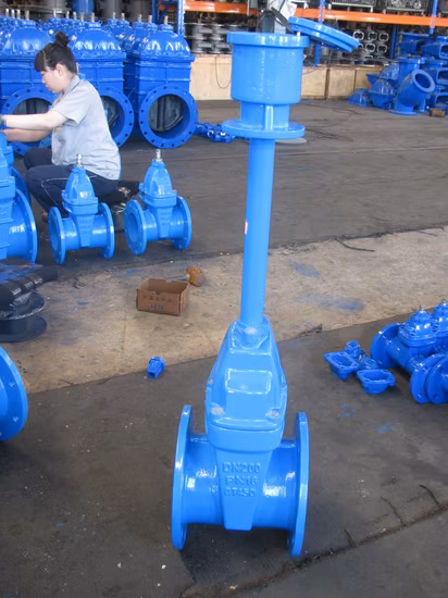 Tubería de agua de 100mm, vástago de extensión de sello suave de 4 pulgadas, válvula de esclusa de compuerta de goma Ggg50 Pn10/Pn16/Cl150/PN25 (Z45X